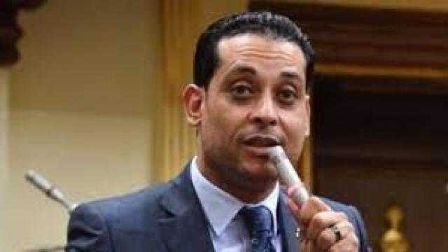محمد نشأت العمدة: ثورة 30 يونيو أعلنت نهاية جماعات الإرهاب والدم في مصر لـ100 سنة قادمة
