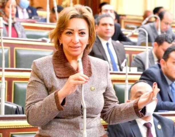 برلمانية: 51 دولة تطبق نظام الإنترنت المحدود ومنها دول مجاورة لمصر