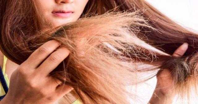 منها تجنب استخدام الشامبو.. روتين العناية بالشعر الجاف