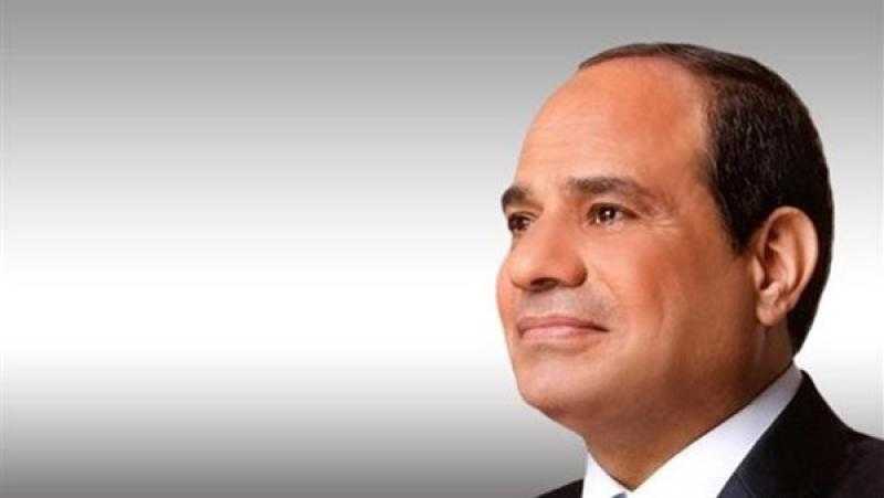 مسئولة أممية: السيسي أكد أن مصر لن تدخر جهد لنجاح مؤتمر المناخ