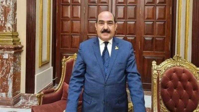 عضو بـ”الشيوخ”: الرئيس السيسي يضع محدودي الدخل على رأس أولويات عمل الدولة