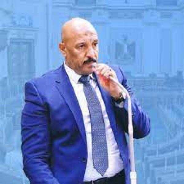 أحمد الحديدي: إضافة مساحات جديدة للرقعة الزراعية المستصلحة في توشكى تدعم الاقتصاد الوطني
