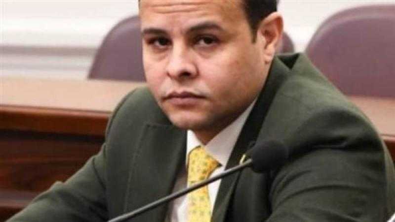 برلماني: إنشاء أكبر مصنع للغزل فى العالم بالمحلة الكبري إضافة للصناعة المصرية