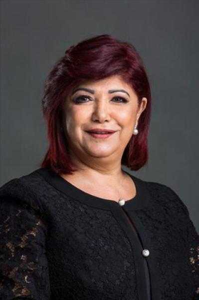 سياحة النواب تشيد بجهود الرئيس السيسي في وقف إطلاق النار بقطاع غزة