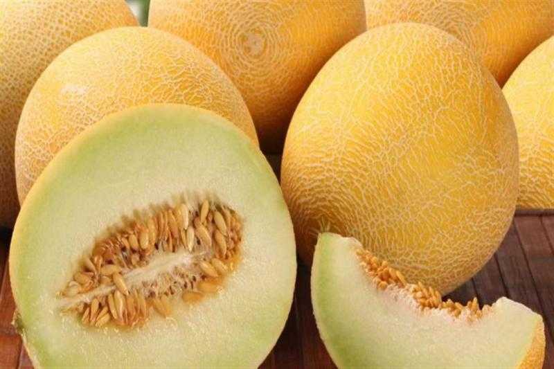أهمية وفوائد تناول الشمام