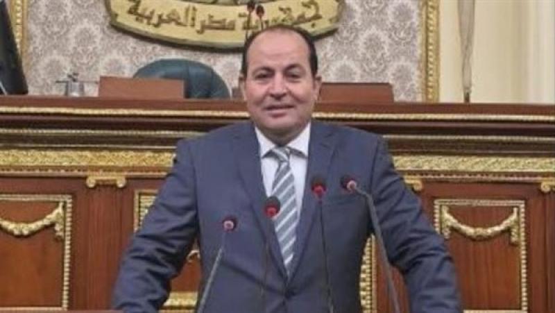 برلماني: ”حياة كريمة” أحدثت ثورة تنموية غير مسبوقة بقرى الريف المصري