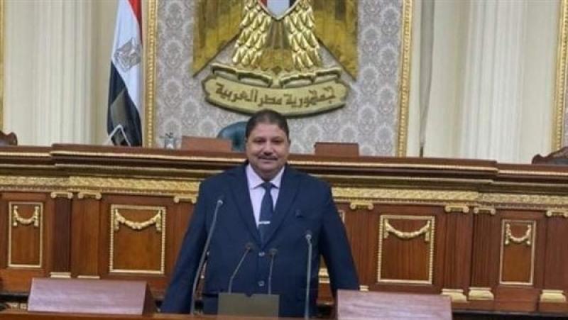 برلماني: قرارات العفو الرئاسي عن عشرات المحبوسين انتصار للدولة المدنية والجمهورية الجديدة