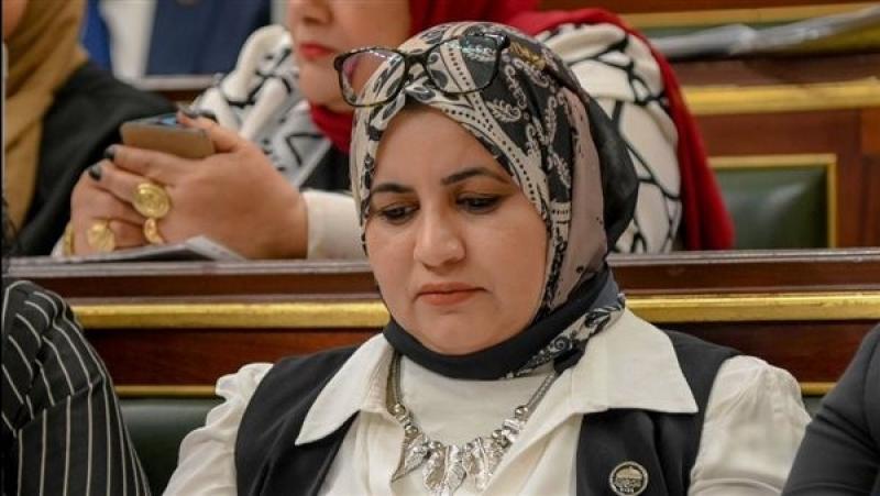 برلمانية: ننتظر من محافظ البنك المركزي سياسات مالية قادرة على مواجهة التحديات الاقتصادية
