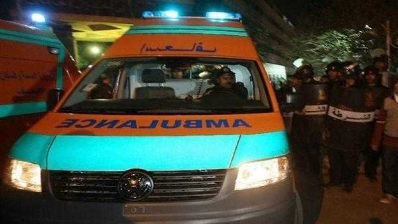 إصابة 9 أشخاص إثر حادث اصطدام سيارة بسور خرساني في بورسعيد