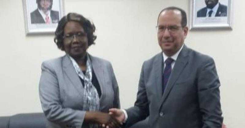 السفير المصري لدى جوبا يلتقي وزيرة في حكومة جنوب السودان
