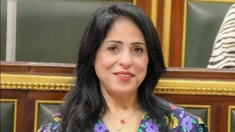 ميرال الهريدي: بيان مجلس النواب بشأن القضية الفلسطينية تاريخي