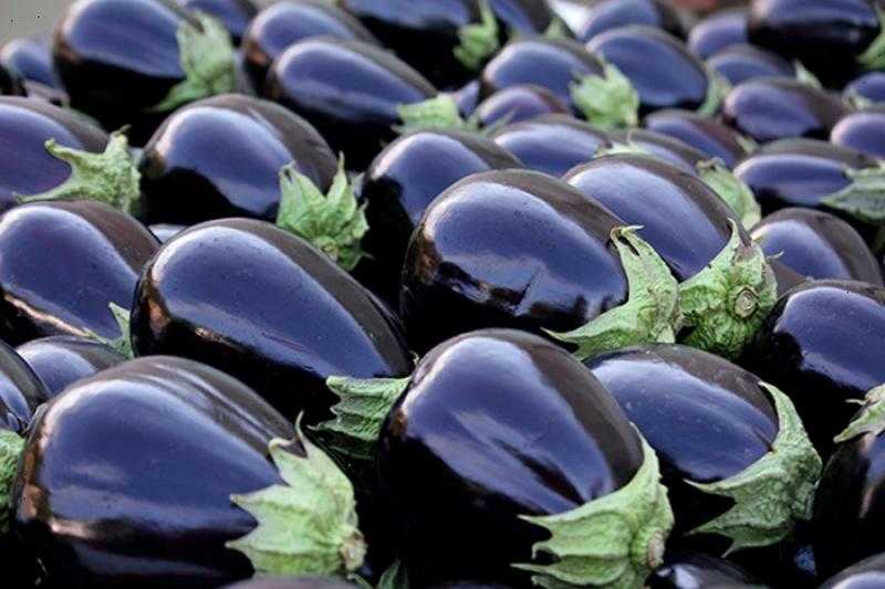 فوائد الباذنجان للبشرة والشعر