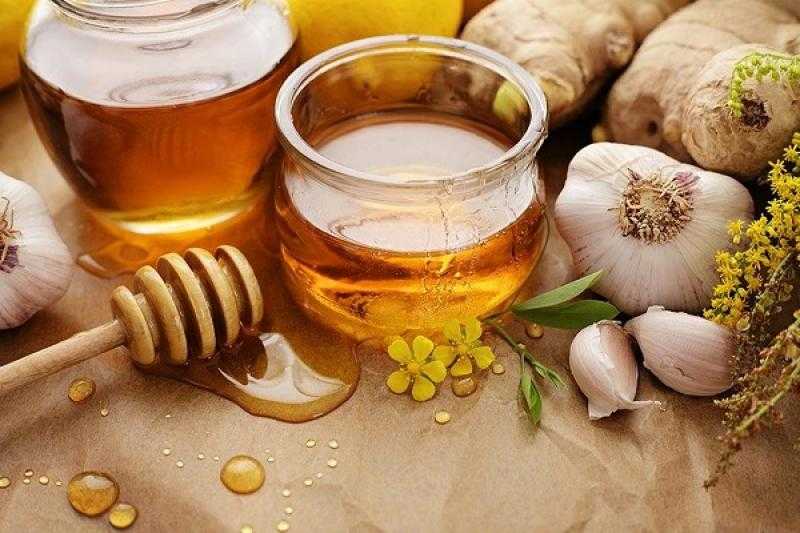 أطعمة طبيعية تعمل كمضادات حيوية.. تعرف عليها