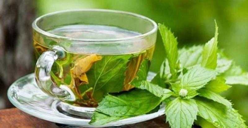 منها النعناع والشاى .. 6 مشروبات تعزز مناعة الجسم
