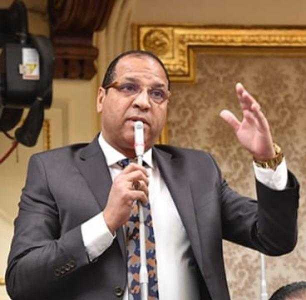 برلماني: القمة المصرية الصينية تعزيز للشراكة الاستراتيجية بين البلدين