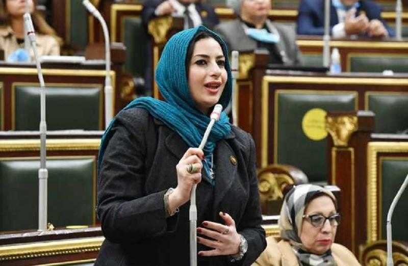 النائبة آيات الحداد تُرحب بالموافقة على مقترح إضافة منهج الأمن السيبراني في المراحل التعليمية