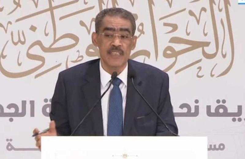 ضياء رشوان: مصر تقود جهدا مكثفا لحماية المصالح العربية من آثار التحولات العالمية