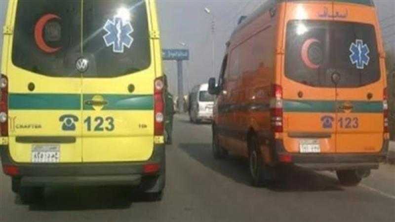 إصابة 8 أشخاص من أسرة واحدة في حادث سير بالبحيرة
