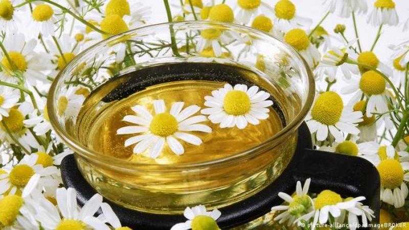 تعرف على فوائد البابونج للصحة