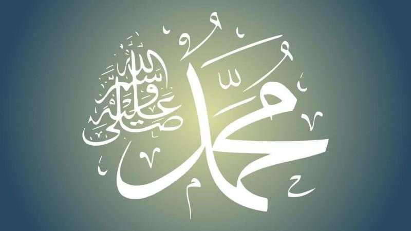 رئيس «دينية الشيوخ»: المولد النبوي الشريف تذكير بأسمى معاني الرحمة والخُلُق