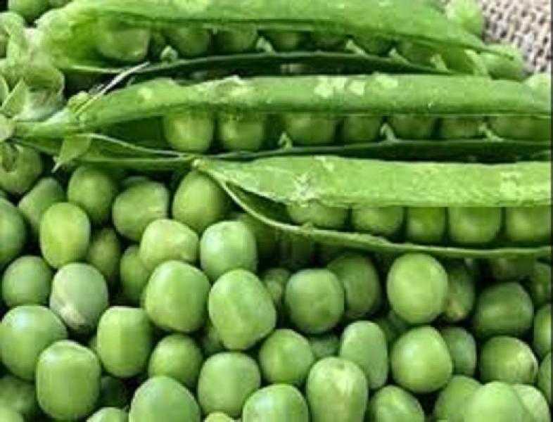 الفوائد الصحية للبازلاء الخضراء