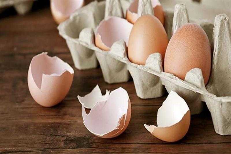 تعرف على فوائد قشر البيض الصحية