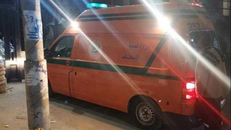 إصابة 10 أشخاص في تصادم سيارة ملاكي في ميكروباص على طريق الرزيقات بأرمنت