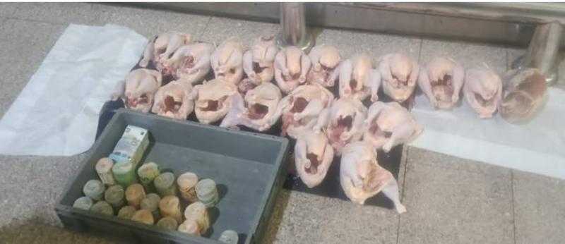 حبس المتهم بمحاولة تهريب عملات أجنبية داخل طيور مجمدة بمطار القاهرة