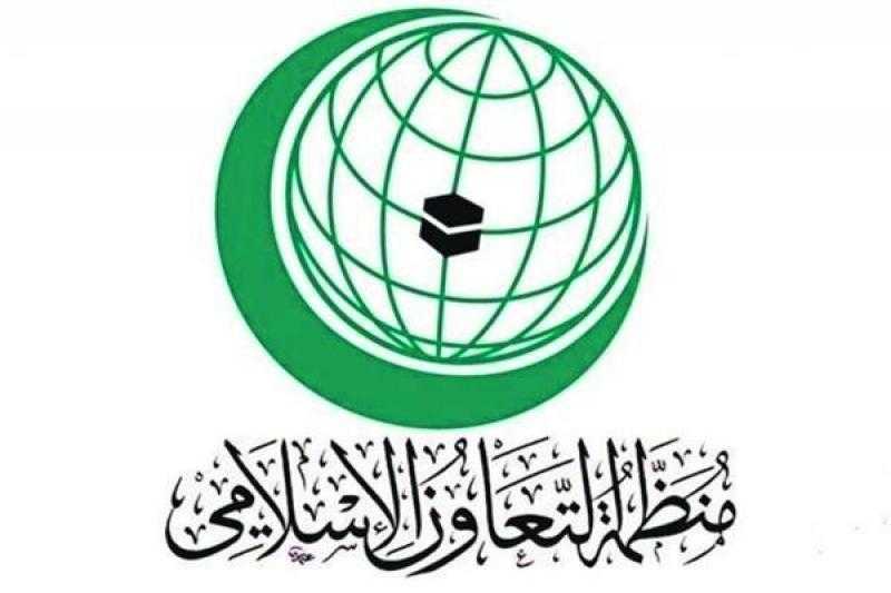 أمين ”التعاون الإسلامي” يدعو إلى تكثيف الجهود لتوفير الحماية للأطفال