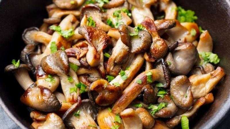 خضار يحارب السرطان والسكري والزهايمر