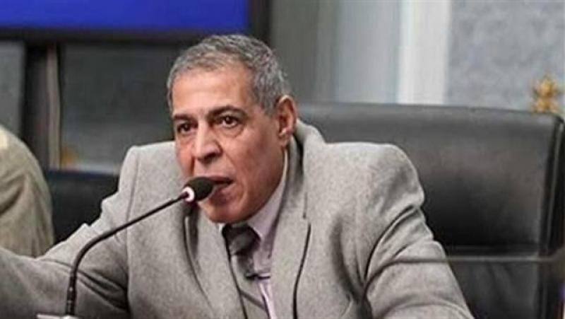 برلماني: من الوارد التقدم بمشروع قانون جديد خاص بسيارات المصريين في الخارج