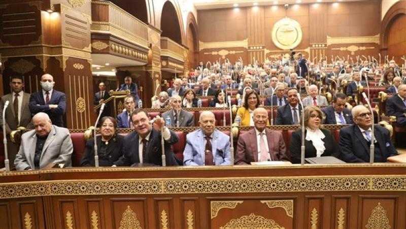 عضو بالشيوخ: التحول الرقمي لم يعد رفاهية وعلينا الاستعداد لثورة الذكاء الاصطناعي