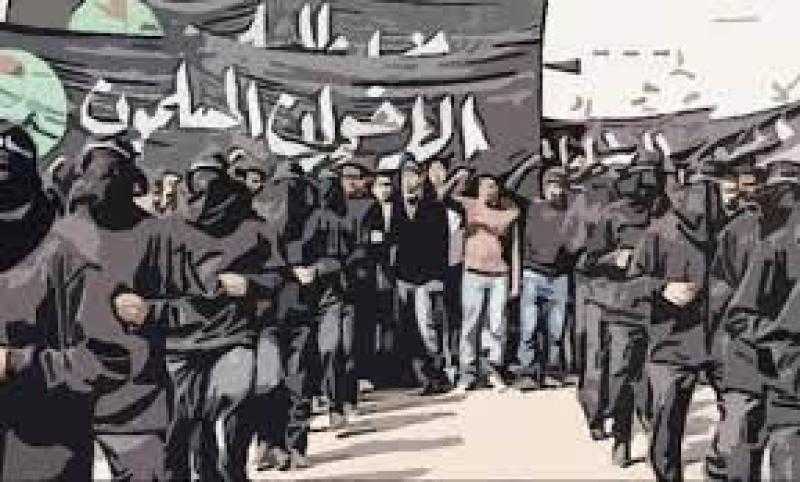 انتهي الدرس يا غبي.. مؤامرات الجماعة الإرهابية تتحطم على صخرة وعي المصريين