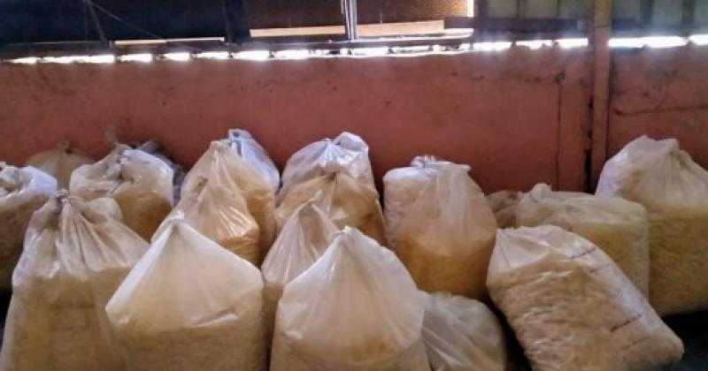 ضبط مواد غذائية وصبغات شعر بدون بيانات خلال حملة بالغربية