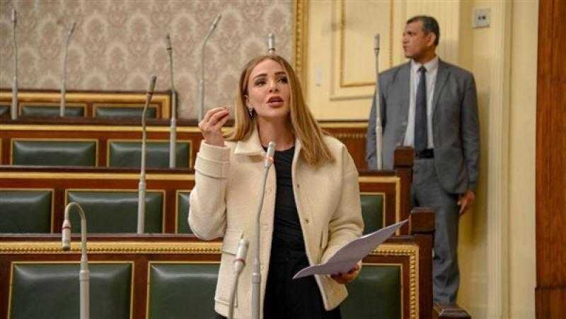 برلمانية تتقدم بطلب إحاطة بسبب أبلكيشن ”مكوجي” لسرقة ملابس المواطنين