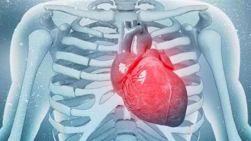 دراسة: علماء يابانيون يتوصلون لمكمل غذائي يعالج اعتلال عضلة القلب