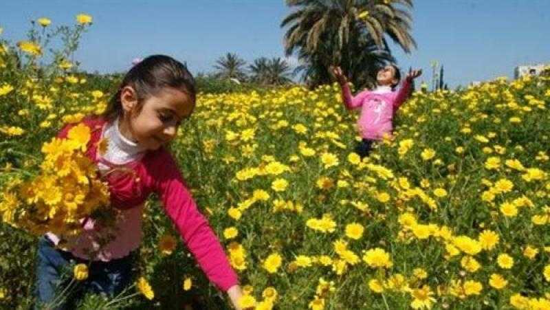 معهد الفلك: بدء فصل الربيع في 20 مارس لمدة 92 يوما
