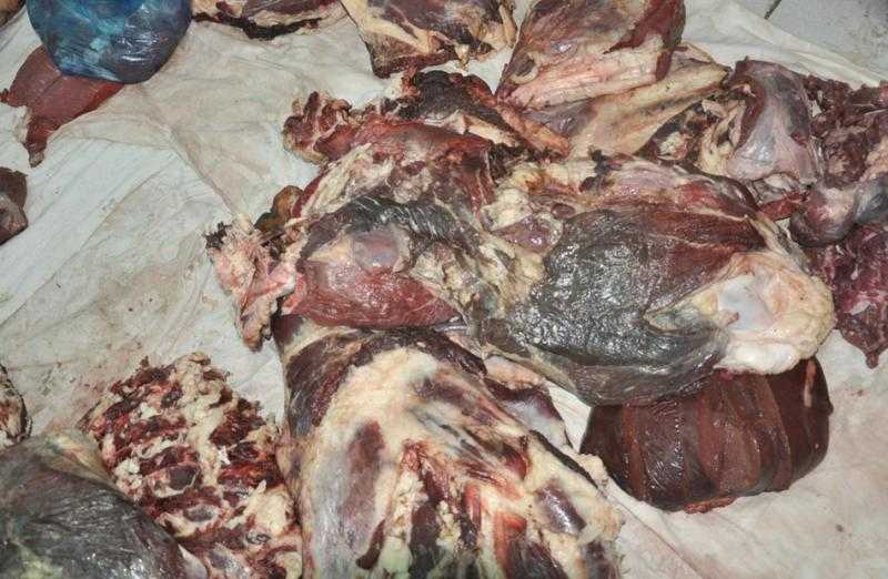 ضبط مطعم فى مركز كفر الدوار يستخدم لحومًا منتهية الصلاحية