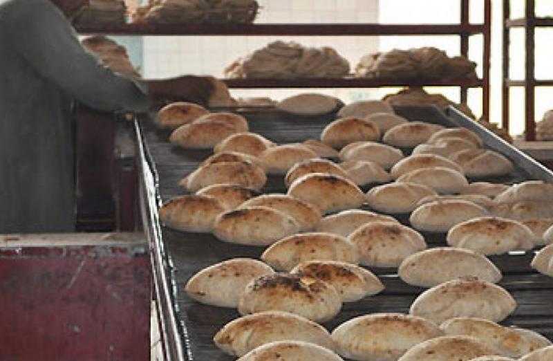 تحرير 8 محاضر لمخابز تنتج خبزًا ناقص الوزن في أبو المطامير