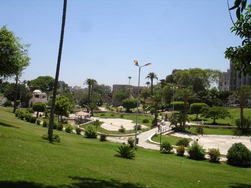 رفع كفاءة الحدائق والمسطحات الخضراء بالأسكندرية استعدادا لعيد الأضحى