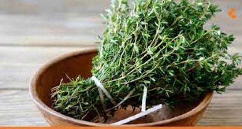 نباتات أقوى من المسكنات.. تعرف عليها