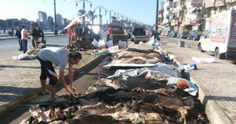عقوبة نقل جلود الأضاحي بدون تصريح في الجيزة