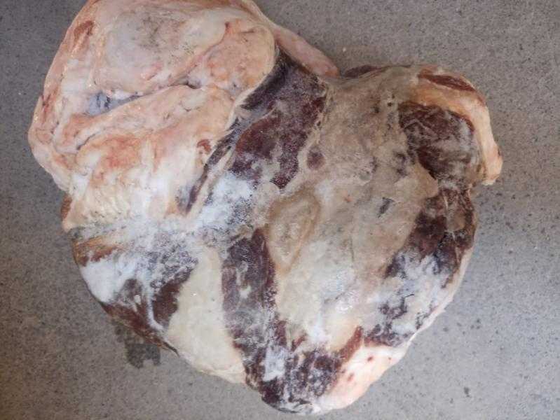 محافظ أسيوط: ضبط 2 طن دواجن ولحوم غير صالحة للاستهلاك