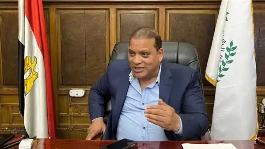 الفضالي: حادث ميناء دمياط محاولة بائسة للمساس بأمن مصر القومي.. وواثقون في قواتنا المسلحة