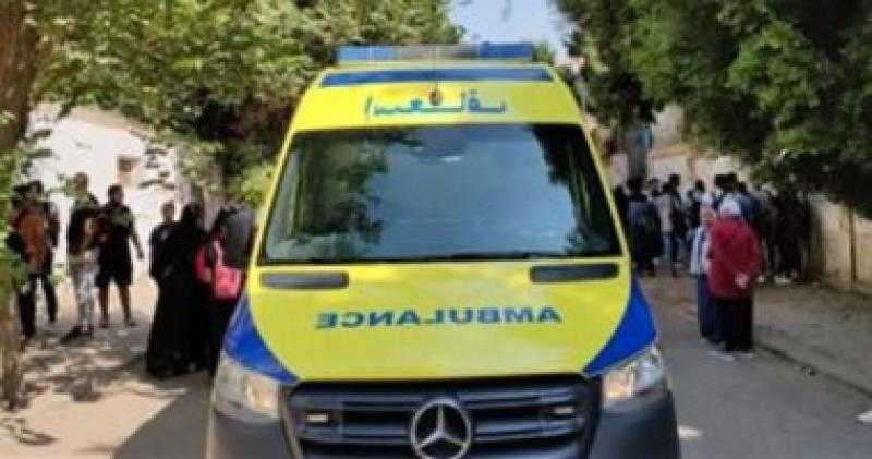 إصابة شخصين في مشاجرة بقرية عين غصين بالإسماعيلية