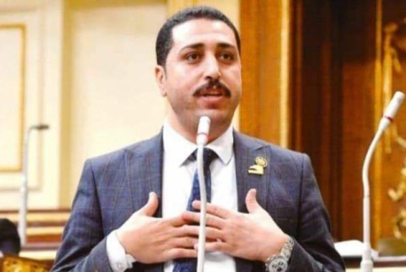 طه الناظر: 3 يوليو تجسيد نجاح الشعب المصري