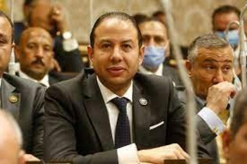 برلماني يحذر من دعوات الكيانات الإرهابية للتظاهر: مصر لا تتاجر بالقضية الفلسطينية