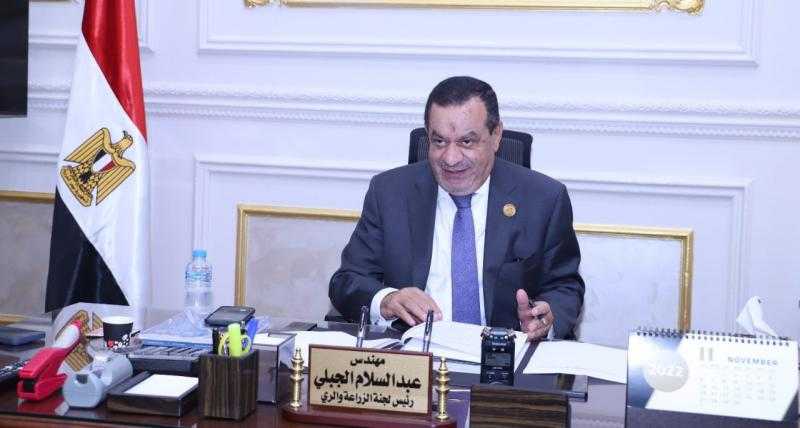 النائب عبد السلام الجبلي: فكرة تدشين التحالف الوطني للعمل الأهلي التنموي تأتي في وقتها لمواجهة التحديات العالمية