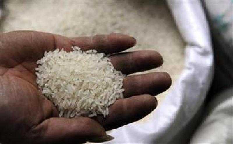 وكيل زراعة دمياط يتفقد محصولي القطن والأرز