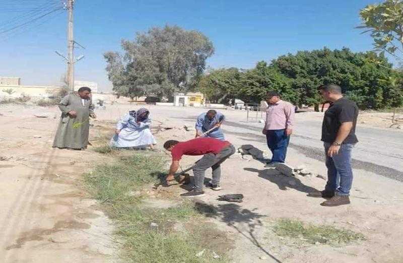 زراعة 250 شجرة مثمرة في طنطا